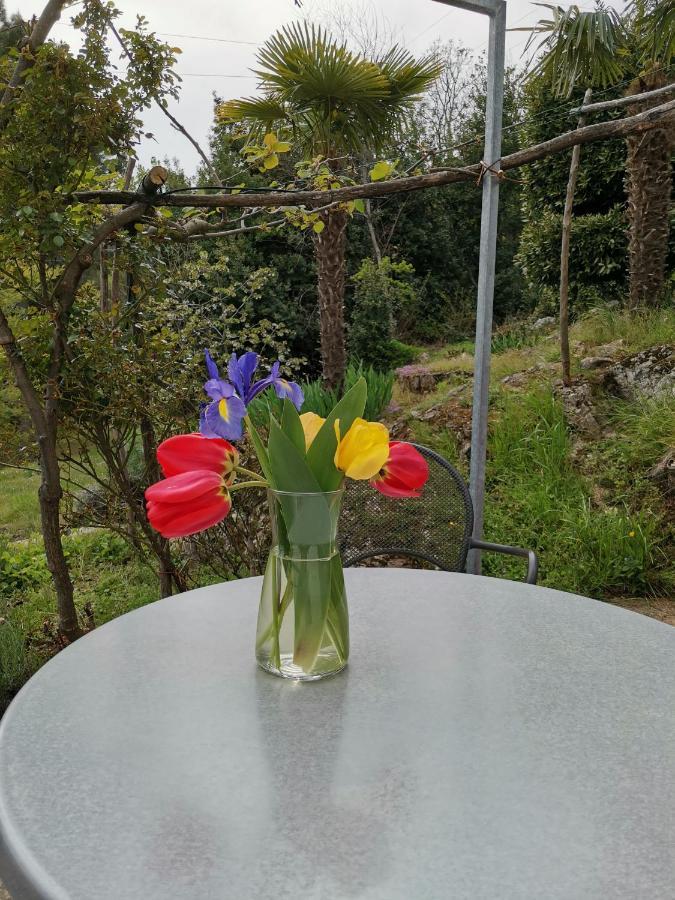 Mošćenička Draga Apartman Marijeta מראה חיצוני תמונה